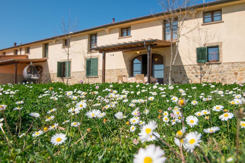 Agriturismo Biologico Diacceroni Villamagna  Exteriör bild
